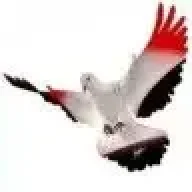 ۩◄عبد العزيز شلبى►۩
